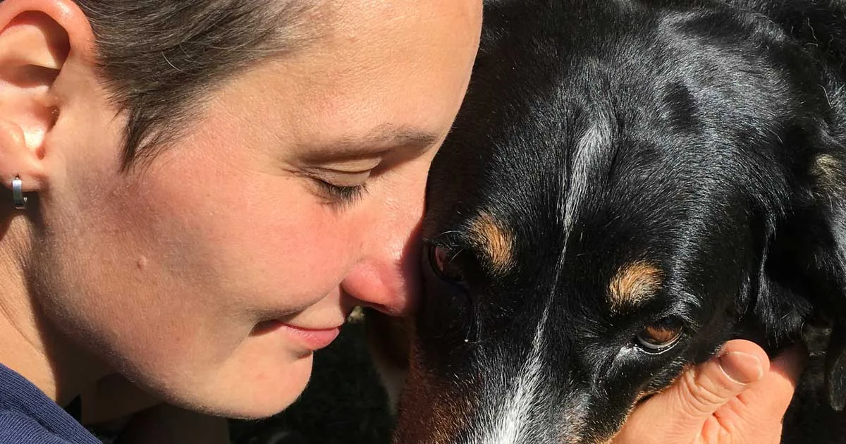 Warum der Tierkommunikation Intensiv-Basiskurs so wichtig ist