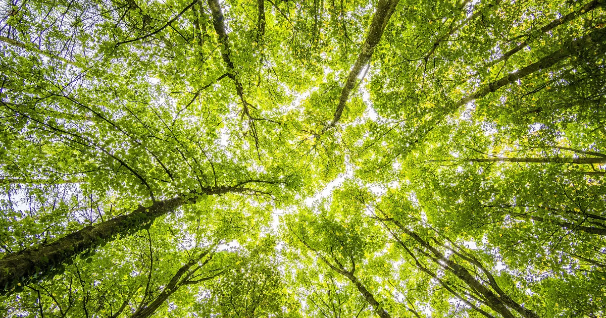 Die Macht der Körperhaltung: Wie unsere äussere Haltung unsere innere Welt beeinflusst