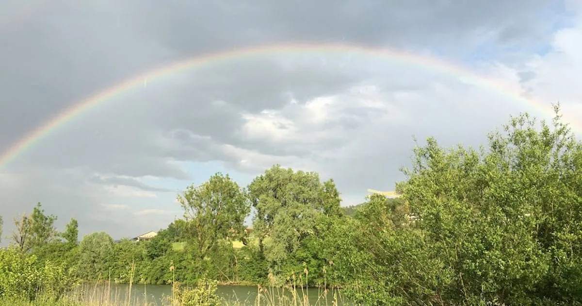 Regenbogenbrücke: Die Verbindung zu unseren verstorbenen Tieren