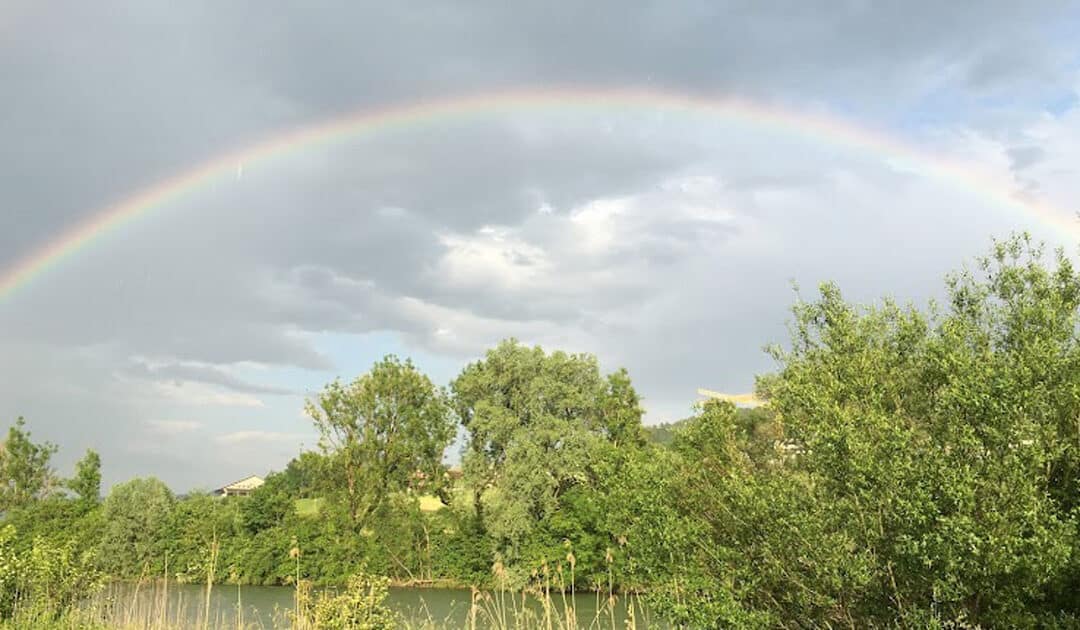 Regenbogenbrücke: Die Verbindung zu unseren verstorbenen Tieren