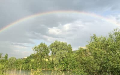 Regenbogenbrücke: Die Verbindung zu unseren verstorbenen Tieren