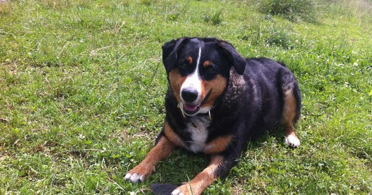 Erinnerung an meine Muna 💖🐾
