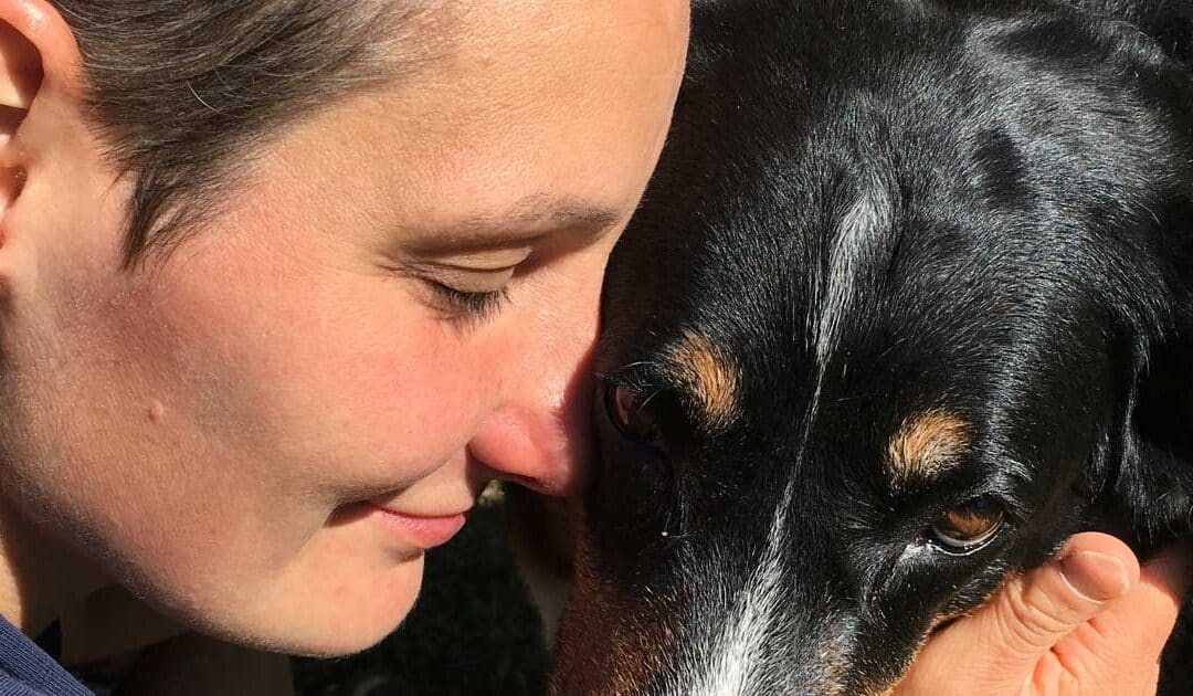 Warum der Tierkommunikation Intensiv-Basiskurs so wichtig ist