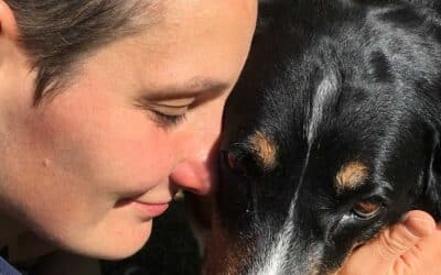 Warum der Tierkommunikation Intensiv-Basiskurs so wichtig ist