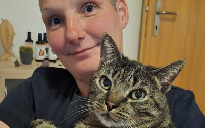 Warum ich es liebe, Tierkommunikatorin zu sein